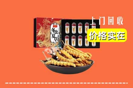 福州市闽侯回收冬虫夏草